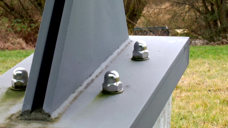 Environmental Consulting for Mold Prevention in Taylors Falls, MN
